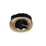 Gold Buckle Braided Belt-Navy